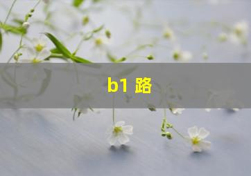 b1 路